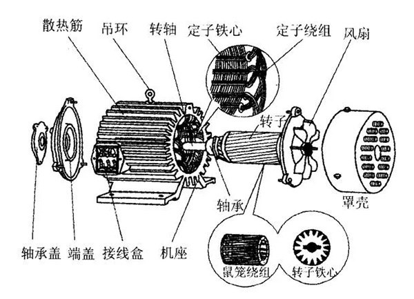 三相異步電動(dòng)機(jī)的六種分類(lèi)方法及具體分類(lèi)。